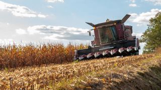 La production de maïs grain devrait dépasser 15,5 millions de tonnes en 2021. © Agnès Massiot La production de maïs grain devrait dépasser 15,5 millions de tonnes en 2021. © Agnès Massiot