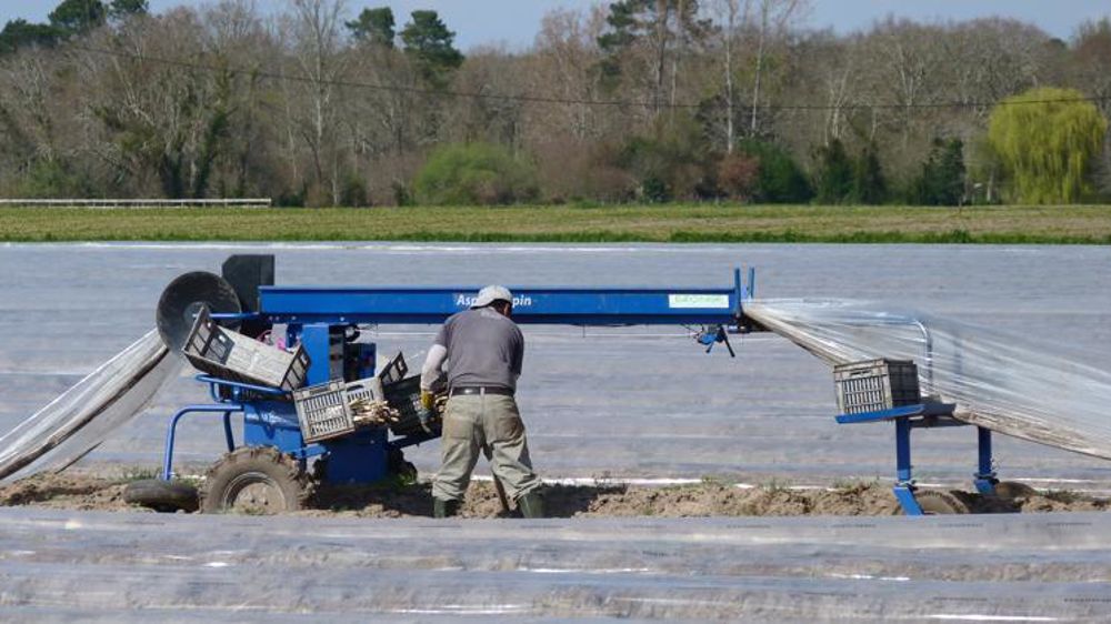 L’exonération de charges patronales pour l’emploi de travailleurs saisonniers (TO-DE) doit prendre fin, en principe, le 1er janvier 2023. © Arielle Delest/GFA