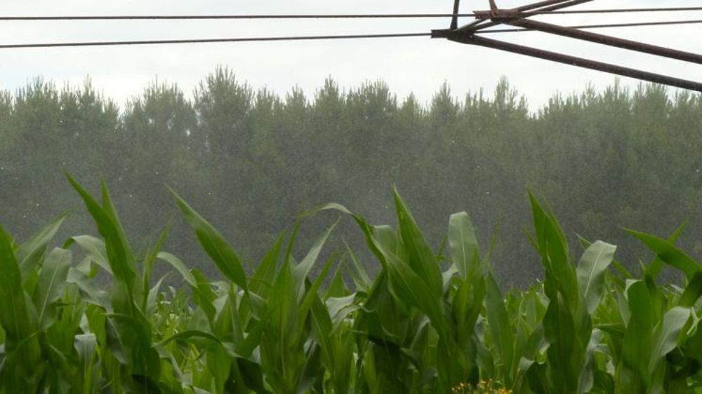 © A. Cassigneul/GFA