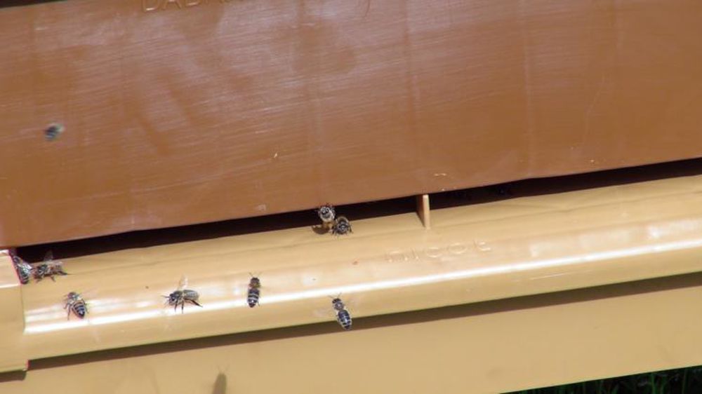 © Tanguy Dhelin/GFA