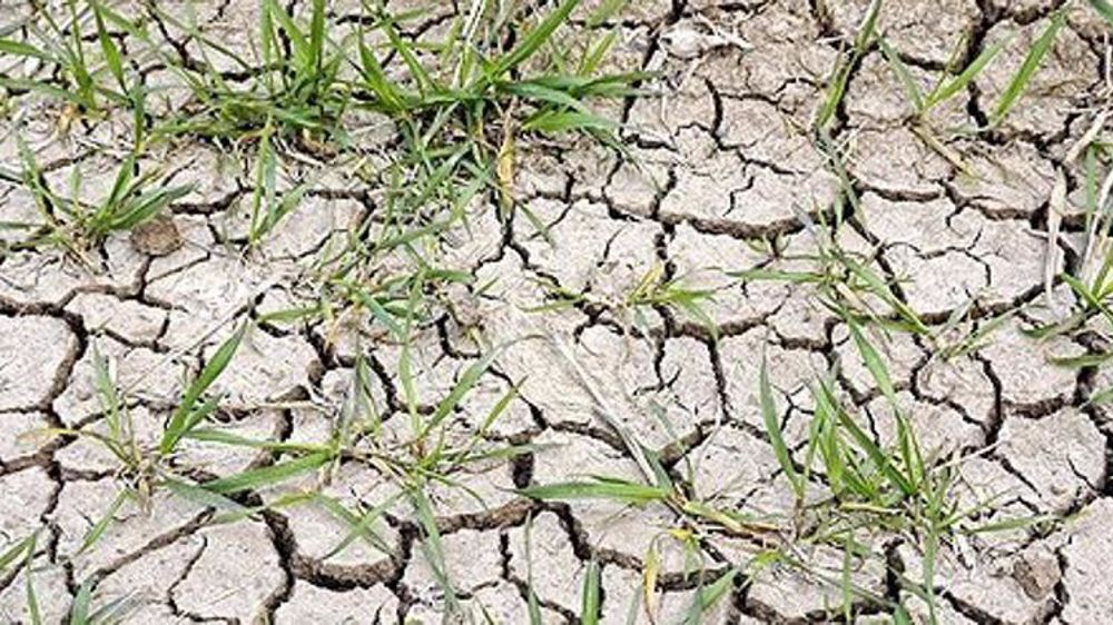 © Compte Twitter de François Beaudonnet