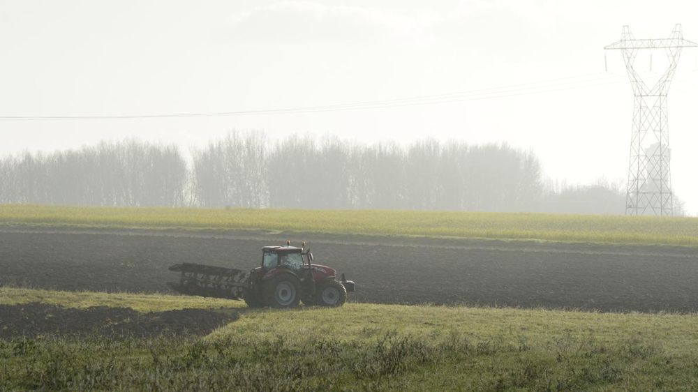Cette première définition de l’agriculteur actif sera donc complétée dans un second temps. © Cédric Faimali/GFA