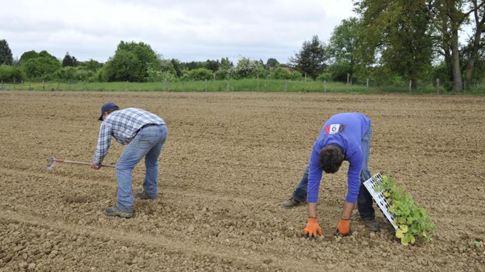 L’arrêté du 20 décembre 2021 fixe les taux de cotisations dues au régime de l’assurance obligatoire des salariés agricoles pour les accidents du travail et les maladies professionnelles, pour l’année 2022. © Cédric Faimali/GFA