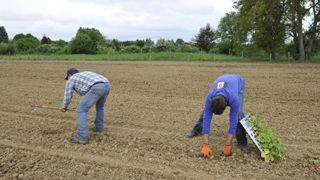 L’arrêté du 20 décembre 2021 fixe les taux de cotisations dues au régime de l’assurance obligatoire des salariés agricoles pour les accidents du travail et les maladies professionnelles, pour l’année 2022. © Cédric Faimali/GFA L’arrêté du 20 décembre 2021 fixe les taux de cotisations dues au régime de l’assurance obligatoire des salariés agricoles pour les accidents du travail et les maladies professionnelles, pour l’année 2022. © Cédric Faimali/GFA