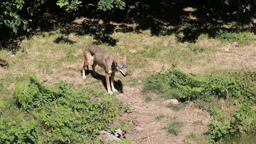 © M.-F. Malterre/GFA