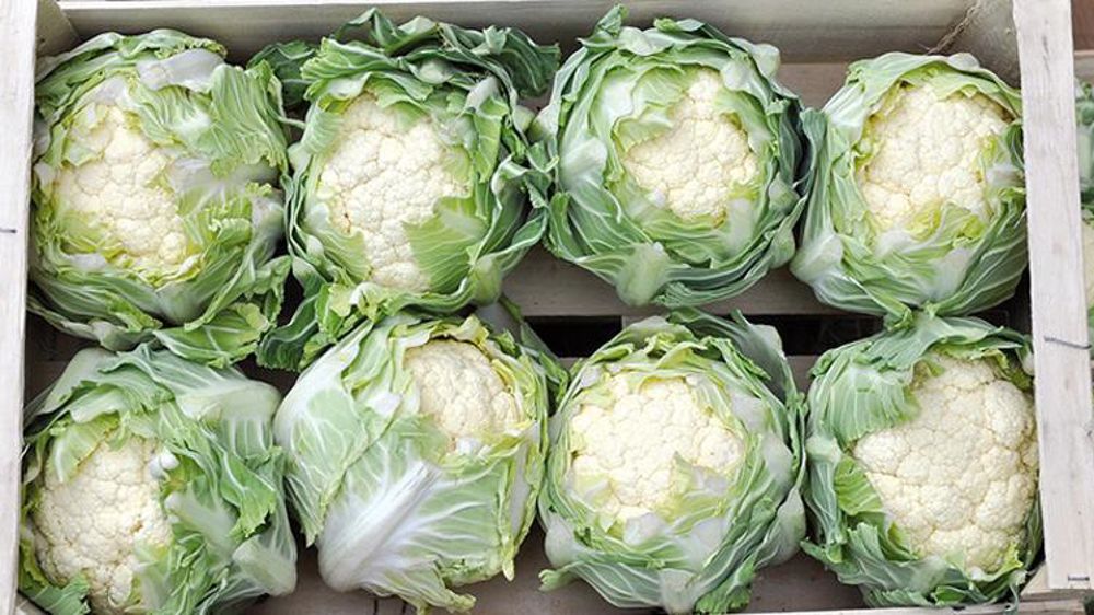 © Philippe Dufour/Interfel