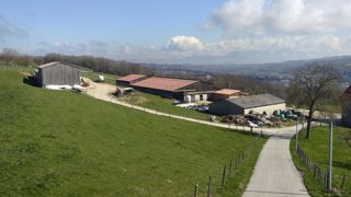Durant le premier trimestre de 2022, 114 exploitations de cultures et 108 élevages ont déposé une procédure pour défaillance auprès du tribunal judiciaire. © Groupe France Agricole Durant le premier trimestre de 2022, 114 exploitations de cultures et 108 élevages ont déposé une procédure pour défaillance auprès du tribunal judiciaire. © Groupe France Agricole