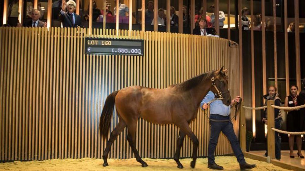 La meilleure vente, qui a eu lieu dimanche, a atteint 1,55 million d’euros. © Compte twitter Arqana