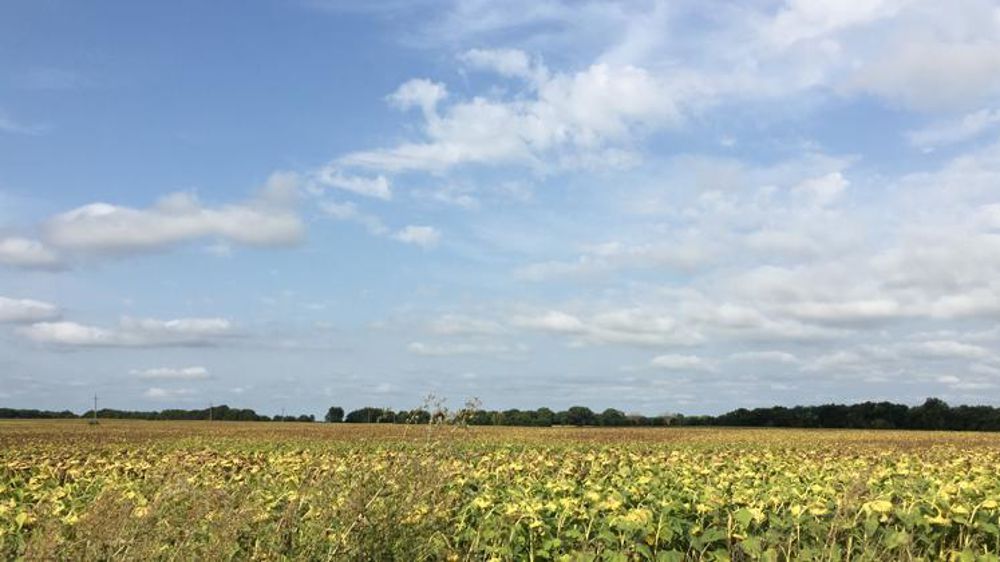 Terres agricoles à l’ouest de Kiev (Ukraine).  © B. Quantinet