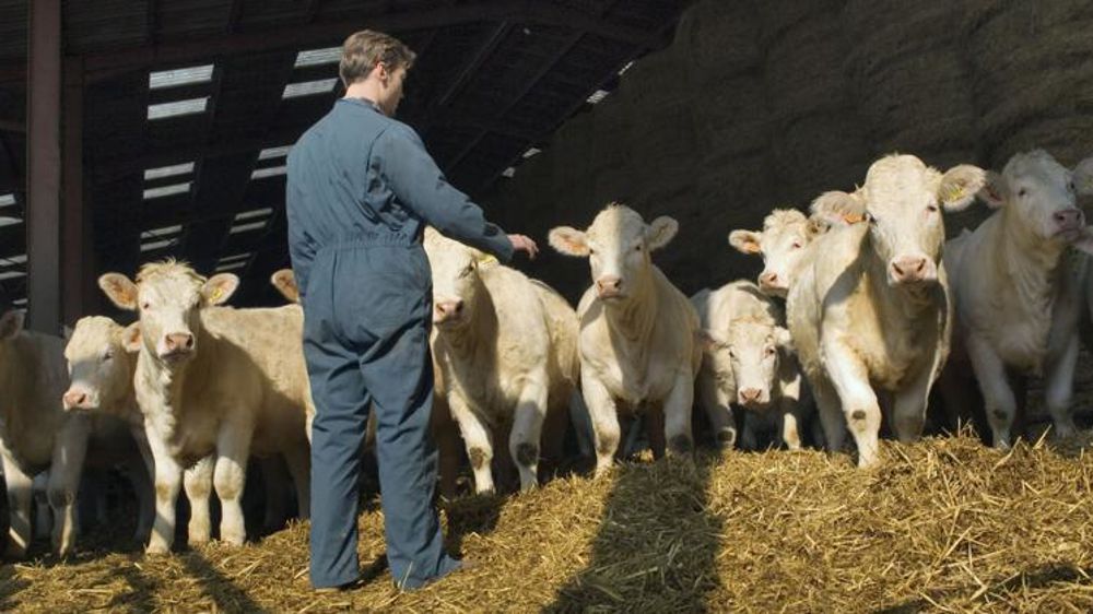 Plusieurs jeunes installés entre 2010 et 2013 vont devoir rembourser leur aide pour ne pas avoir respecté leur PDE. © Claudius Thiriet