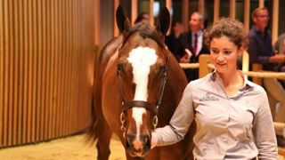 © Twitter / Arqana © Twitter / Arqana