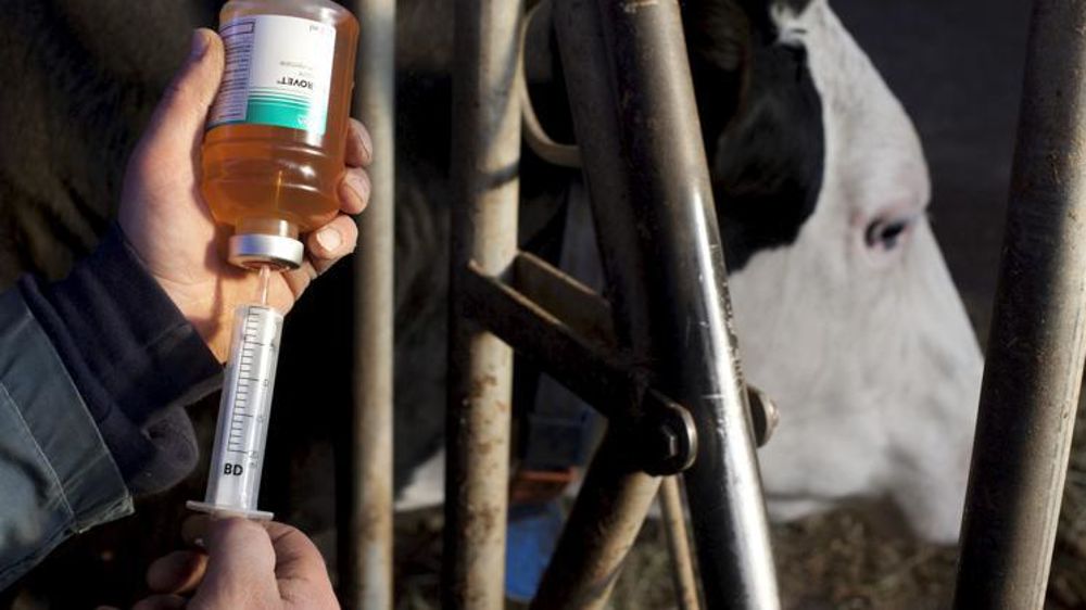 L’Anses est optimiste concernant les résultats du second plan français de lutte contre l’antibiorésistance. © Claudius Thiriet