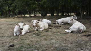 La loi réformant les outils de gestion des risques a pour objectif de développer le taux de pénétration de l’assurance multrisque climatique. © Cédric Faimali/GFA La loi réformant les outils de gestion des risques a pour objectif de développer le taux de pénétration de l’assurance multrisque climatique. © Cédric Faimali/GFA