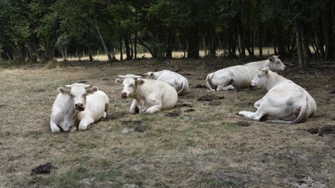 La loi réformant les outils de gestion des risques a pour objectif de développer le taux de pénétration de l’assurance multrisque climatique. © Cédric Faimali/GFA La loi réformant les outils de gestion des risques a pour objectif de développer le taux de pénétration de l’assurance multrisque climatique. © Cédric Faimali/GFA