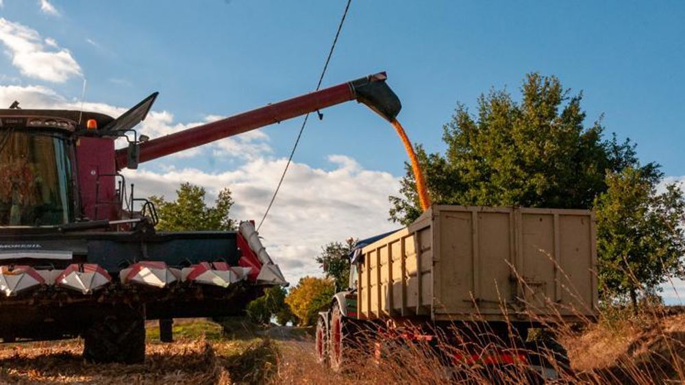 Le Conseil international des céréales revoit à la hausse ses estimations de rendement pour le maïs grain. © Agnès Massiot/GFA