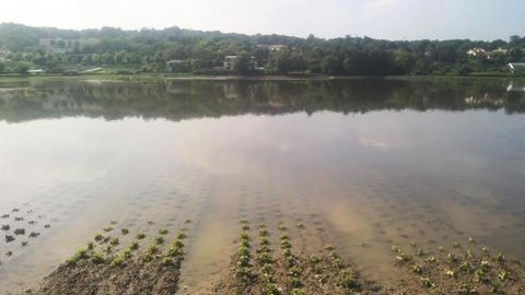 Inondation sur une exploitation maraîchère en juin 2016 dans l’Île-de-France. © R. Aries/GFA Inondation sur une exploitation maraîchère en juin 2016 dans l’Île-de-France. © R. Aries/GFA