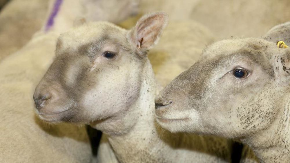 Photo d’illustration. © Sébastien Champion