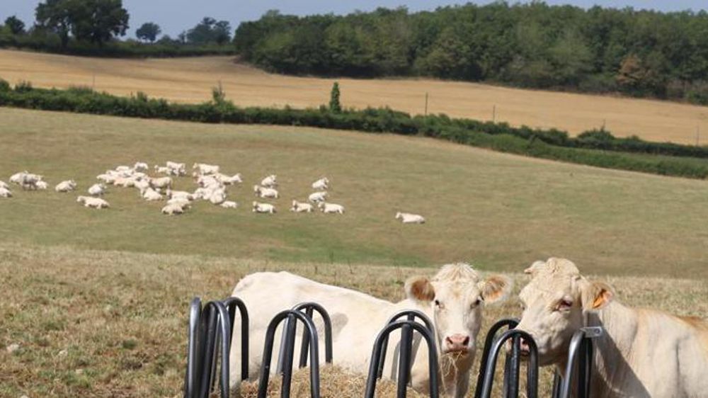 © M.-F. Malterre/GFA