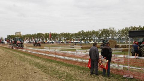 © P. Peeters/GFA © P. Peeters/GFA