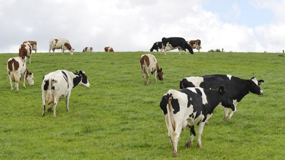 © Cédric Faimali/GFA