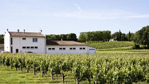 Les vignes jouxtent l’école primaire de Villeneuve-de-Blaye (Gironde). © P. Roy