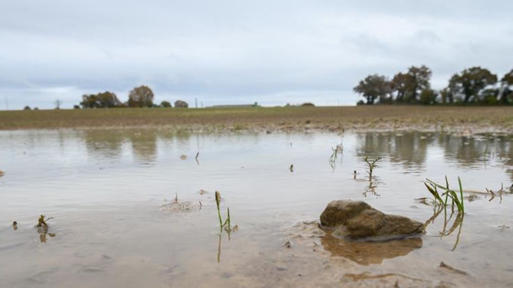 Les semis prennent du retard ou sont à refaire. © Jean-Michel Nossant