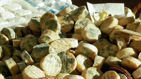 L’article onze octies du projet de loi alimentation soulève des incertitudes sur l’appellation fromage fermier. © Pixabay L’article onze octies du projet de loi alimentation soulève des incertitudes sur l’appellation fromage fermier. © Pixabay