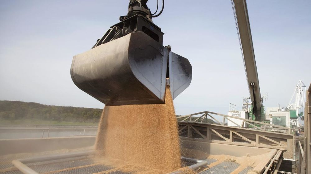 Chargement d’un bateau de céréales au port de Rouen. © Claudius Thiriet