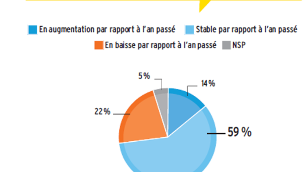 Près de 60 % des exploitants attendent une récolte stable par rapport à l’an passé.