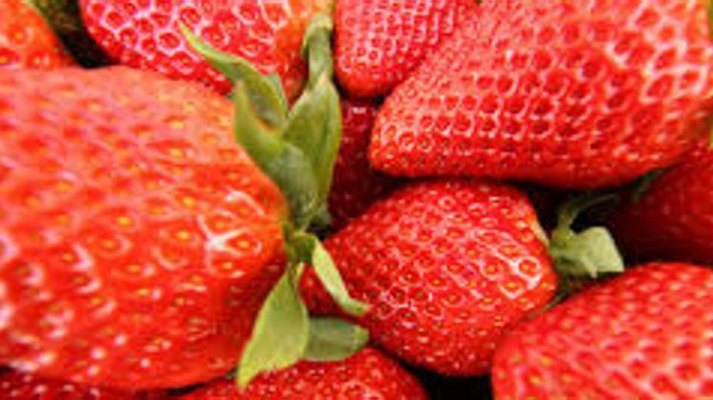 Les importations de fraises, principalement d’Espagne, ont chuté de 24 % par rapport à la même période l’année dernière. © Pxhere