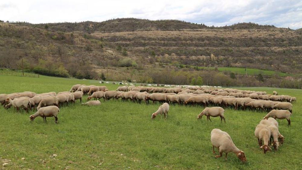 © M.-F. Malterre/GFA