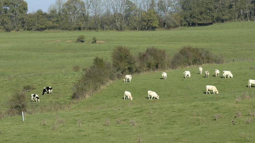 La Commission européenne veut mettre ne place une stratégie « De la ferme à la table ». © P. Crapon/GFA