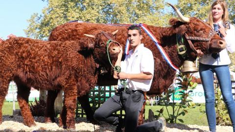 Jicky, de l’élevage de Franck Terrien dans la Haute-Loire, décroche le titre de championnat femelle adulte. © M. Roque Marmeys