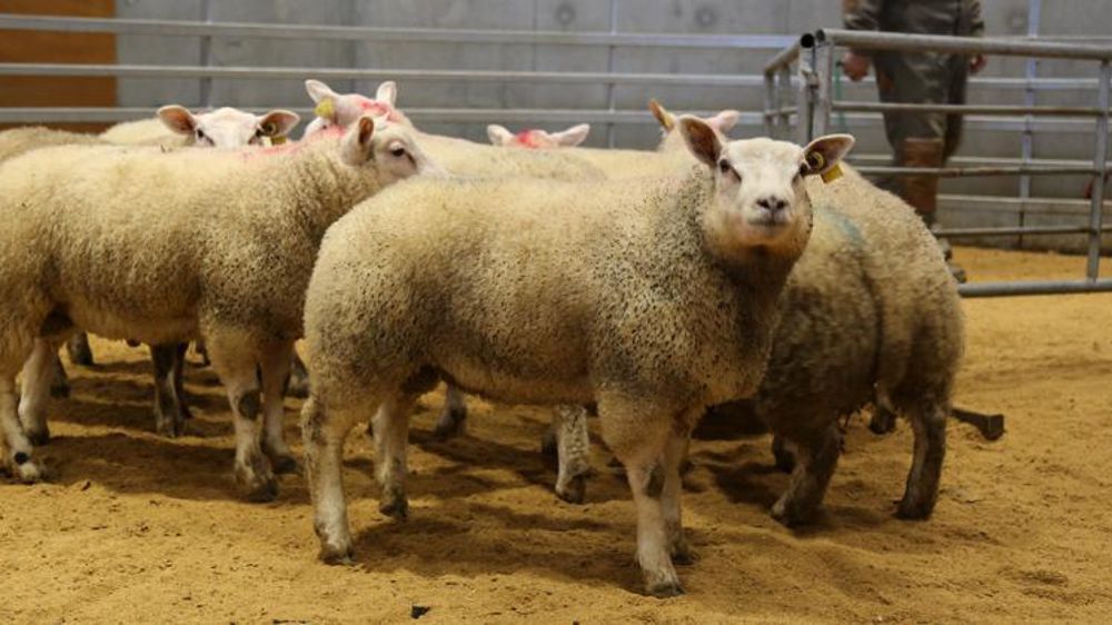 © M.-F. Malterre/GFA