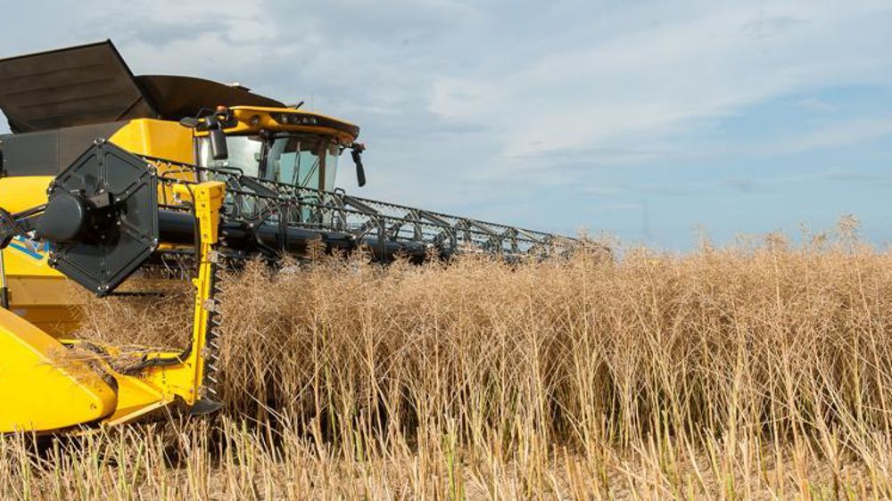 © Jean-Michel Nossant