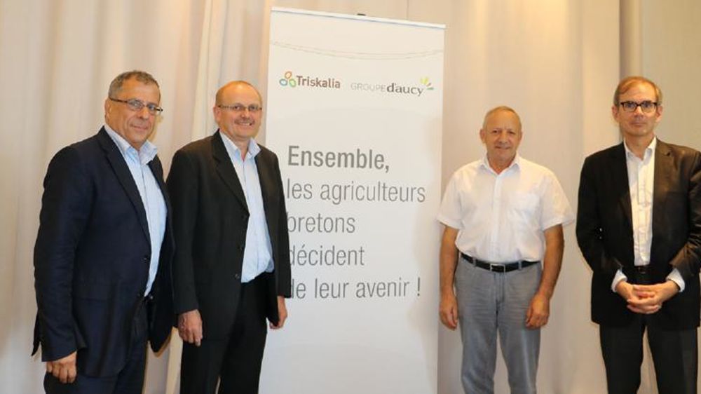 De gauche à droite : Dominique Ciccone, directeur de Triskalia, Serge Le Bartz, président de D’Aucy, Georges Galardon, président de Triskalia, Alain Perrin, directeur de D’Aucy. © I. Lejas