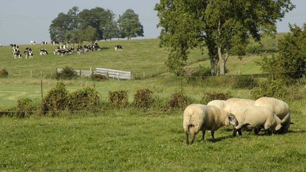 © Pascal Crapon/GFA