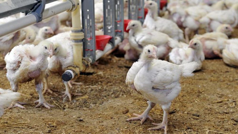 © Cédric Faimali/GFA