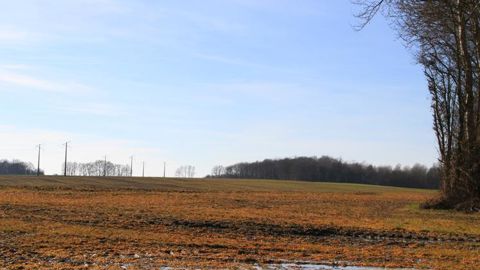 La FDSEA de l’Ille-et-Vilaine annonce avoir transmis au procureur une plainte contre les « pisseurs involontaires de glyphosate ». © D. Bardoux La FDSEA de l’Ille-et-Vilaine annonce avoir transmis au procureur une plainte contre les « pisseurs involontaires de glyphosate ». © D. Bardoux