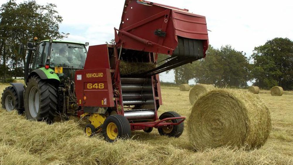 Si la pluie ne revient pas, les Norvégiens seront contraints d’acheter leurs fourrages en France. © Stéphane Leitenberger