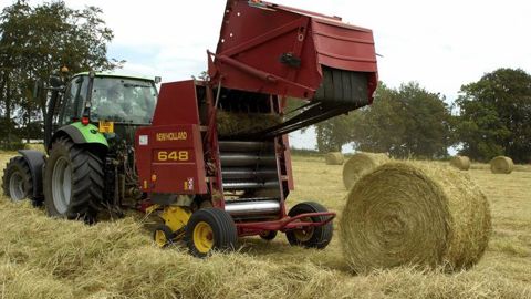 Si la pluie ne revient pas, les Norvégiens seront contraints d’acheter leurs fourrages en France. © Stéphane Leitenberger Si la pluie ne revient pas, les Norvégiens seront contraints d’acheter leurs fourrages en France. © Stéphane Leitenberger