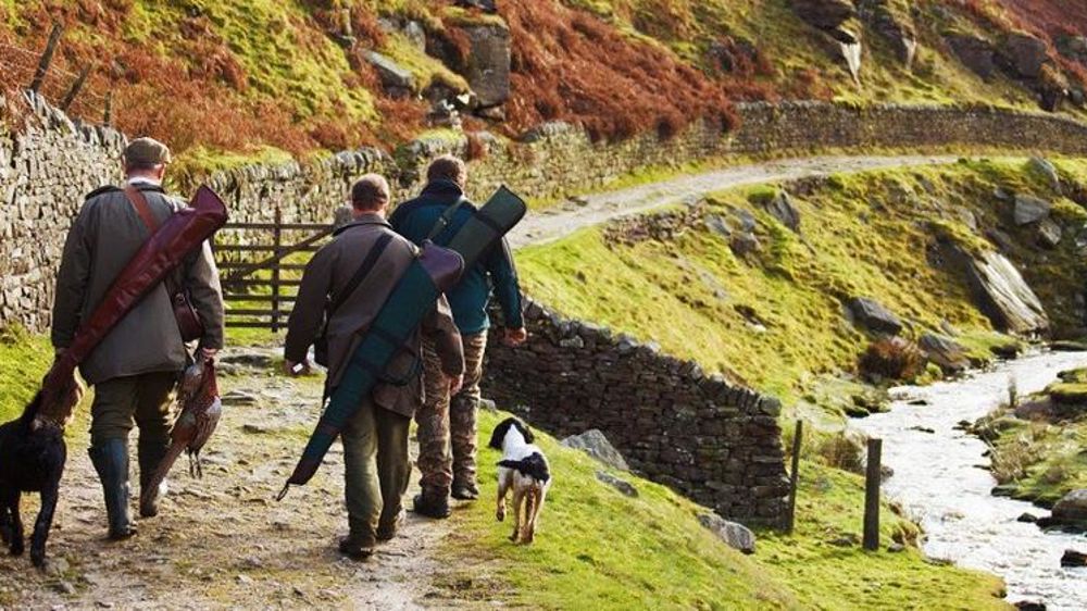 Les associations communales de chasse agréées sont placées à compter du 27 décembre 2019 sous l’autorité du président de la fédération départementale des chasseurs. © Pixabay