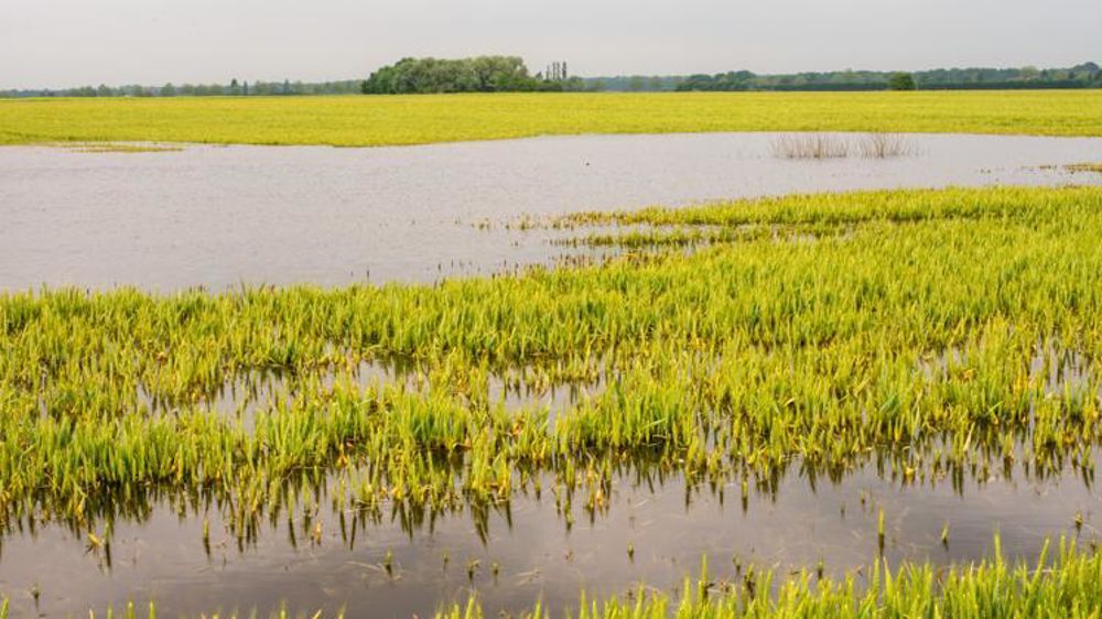 Inondation en juin 2016. © J.  Derigny