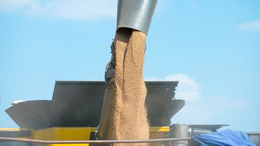 © Jean-Michel Nossant