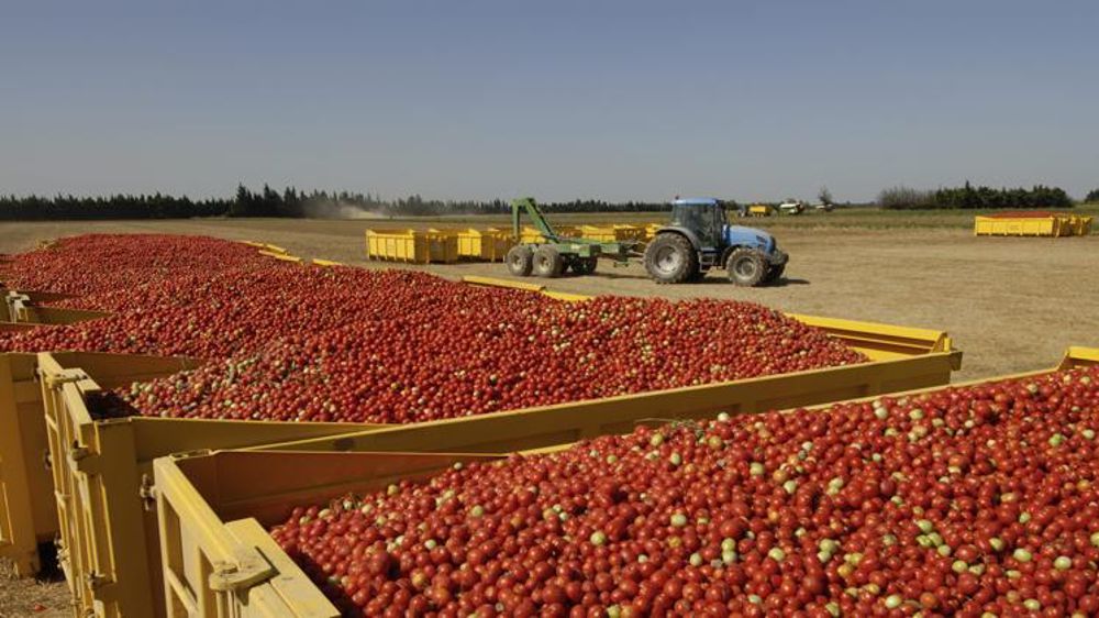 © Jean-Claude Grelier/GFA