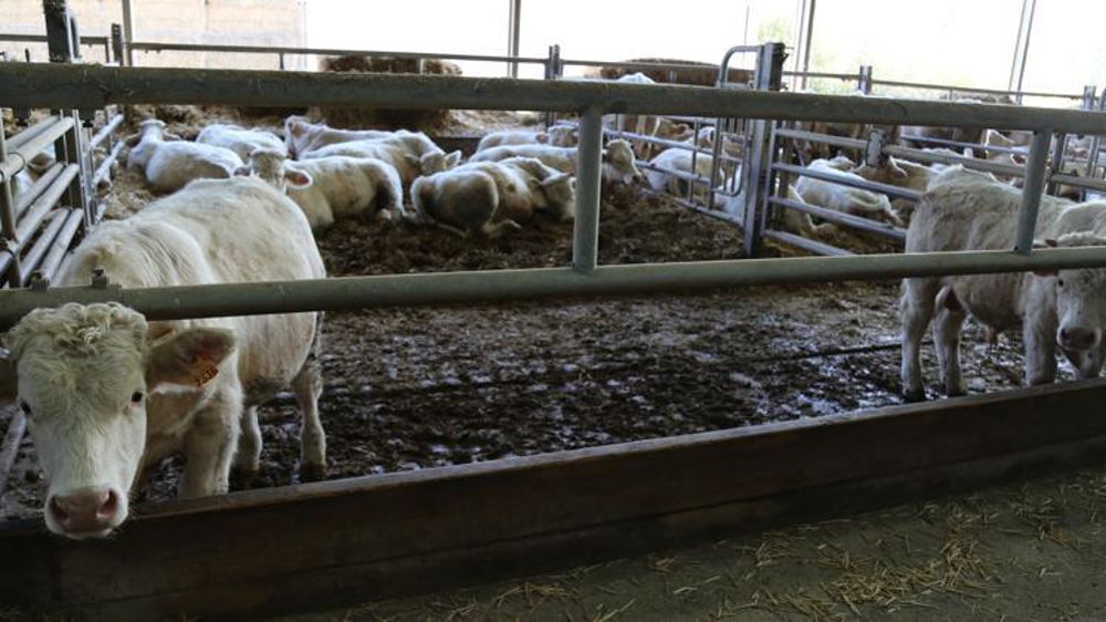 © M.-F. Malterre/GFA