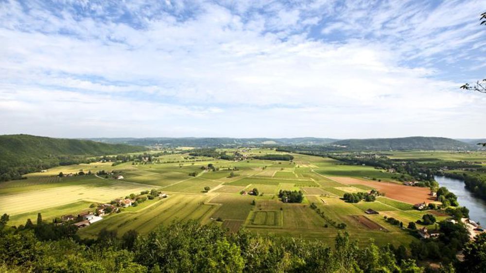 La FNSafer estime que la fiscalité qui pèse sur les propriétaires ruraux est un frein à la mise en location de leurs terres. © P. Roy