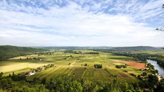 La FNSafer estime que la fiscalité qui pèse sur les propriétaires ruraux est un frein à la mise en location de leurs terres. © P. Roy La FNSafer estime que la fiscalité qui pèse sur les propriétaires ruraux est un frein à la mise en location de leurs terres. © P. Roy