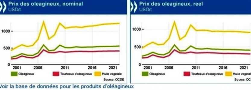 Hausse de la consommation humaine d'oléoprotéagineux dans les pays en développement.