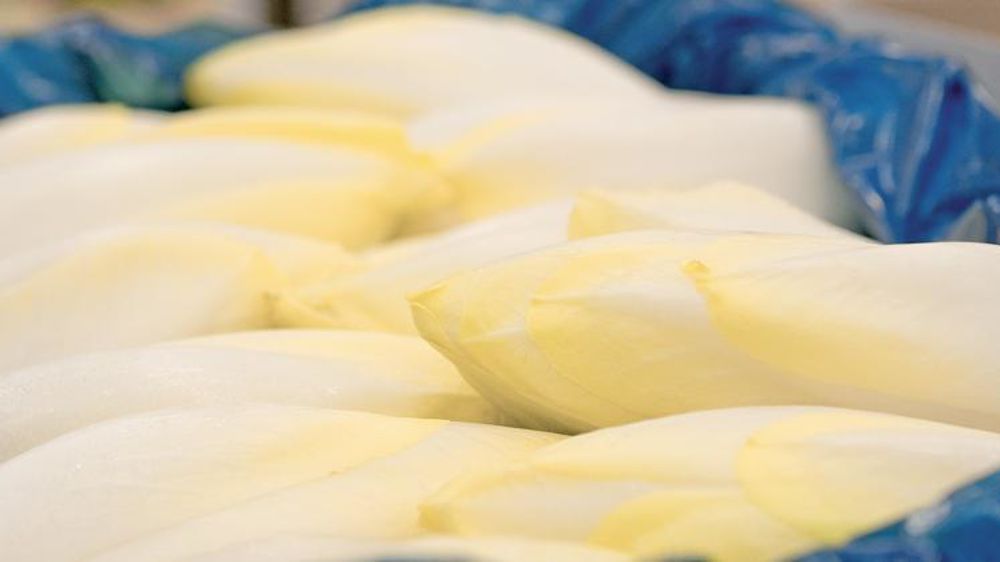 © Philippe Dufour/Interfel